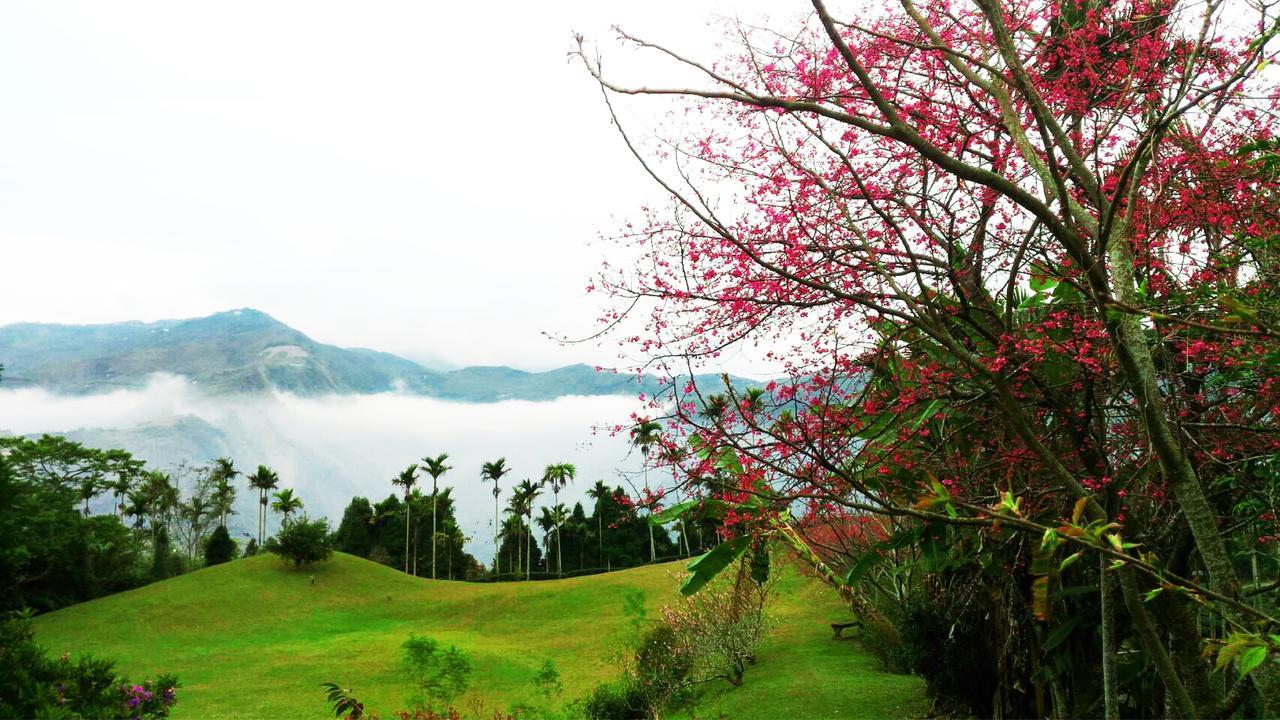 Foggy Wonderland Villa Zhushan Luaran gambar